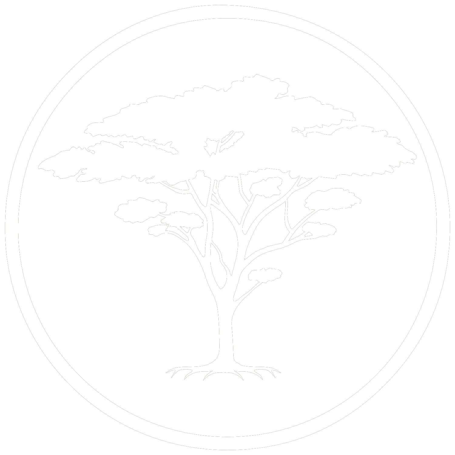 Black Coast Estates Logo